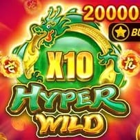 Dragon Soar - Hyper Wild game screenshot